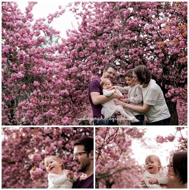 seance-photo-famille-cerisier-japonais