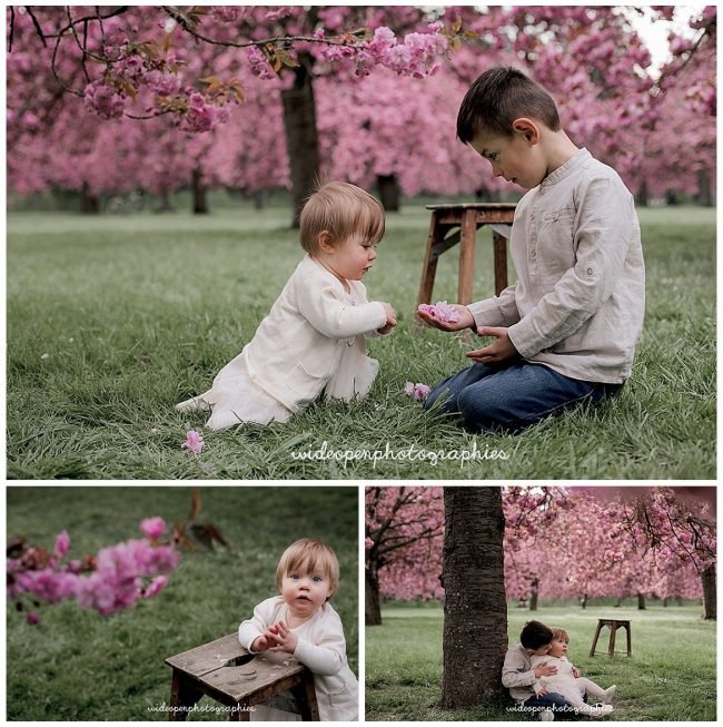 seance-photo-famille-cerisier-japonais seance-photo-famille-cerisier-japonais